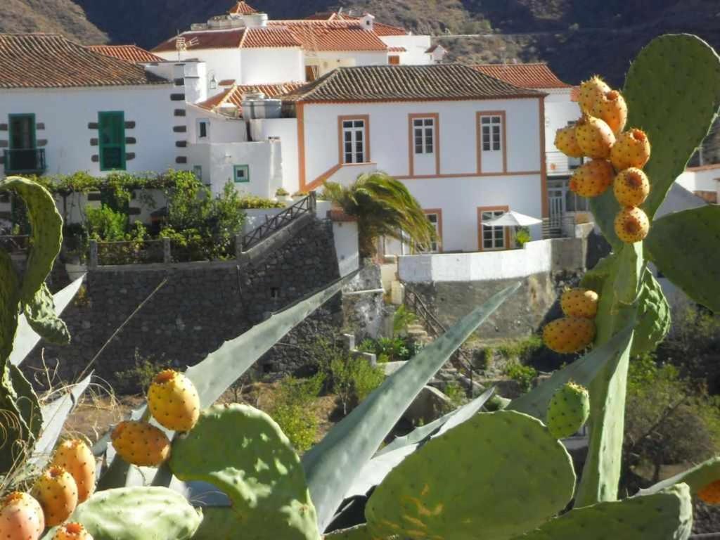 Casa Rural Las Cascaras Tejeda  Exterior photo